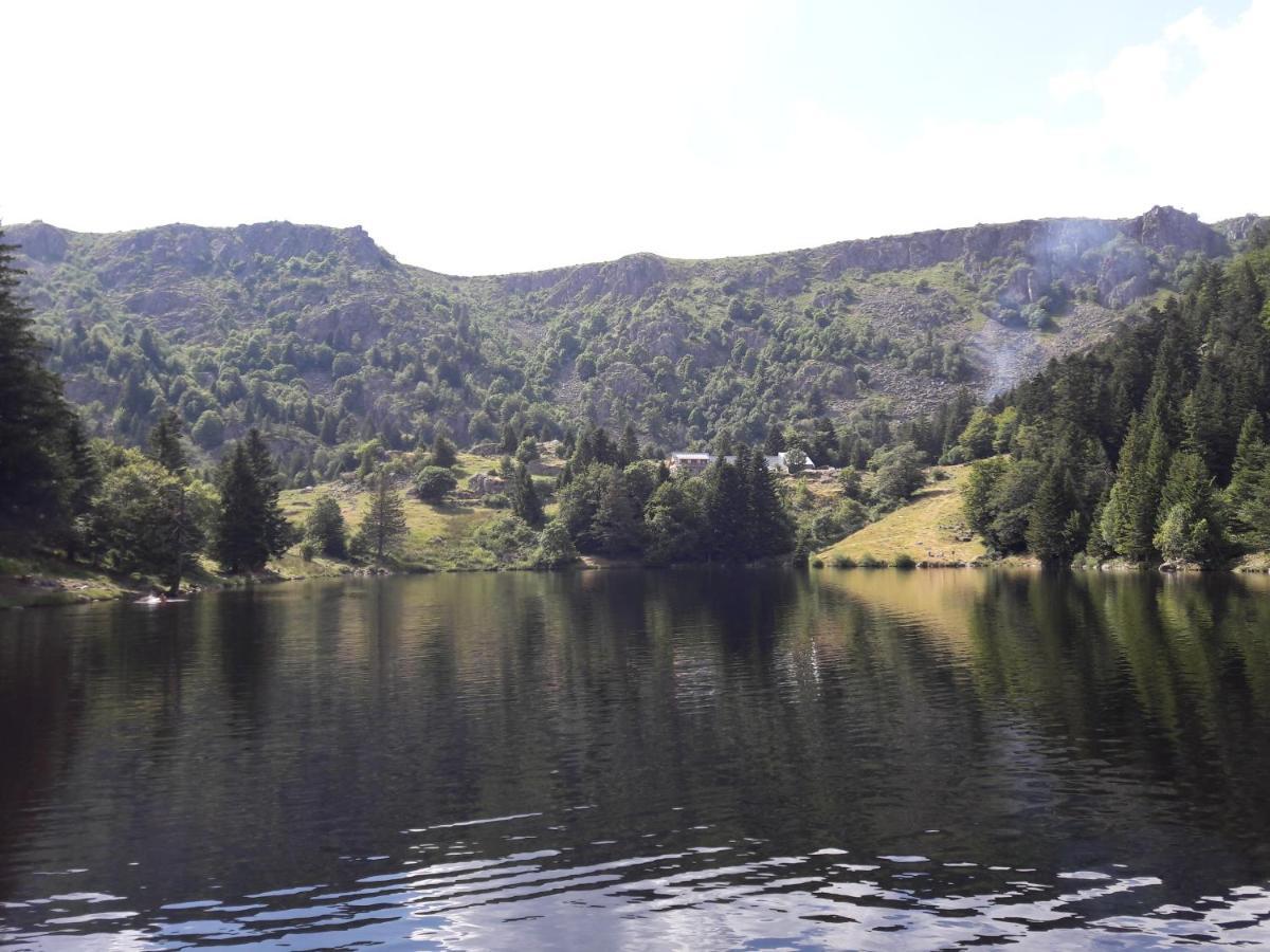 Munster Camping De La Fecht 外观 照片